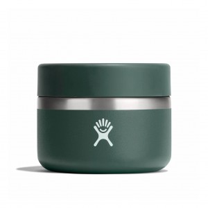 Hydro Flask 12 oz Insulated Food Jar Fir | 89041SUBF