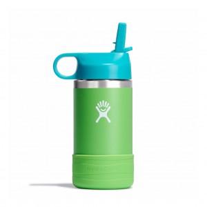 Hydro Flask 12 oz Kids Wide Mouth w/ Straw Cap Grass | 90274YVBN