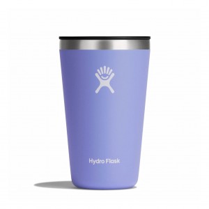 Hydro Flask 16 oz All Around™ Tumbler Lupine | 26785BVCK
