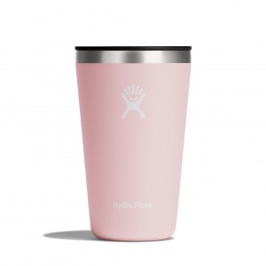 Hydro Flask 16 oz All Around™ Tumbler Trillium | 04917UZQD