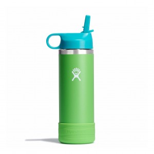 Hydro Flask 18 oz Kids Wide Mouth w/ Straw Cap Grass | 14385ZWGX