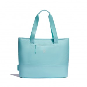 Hydro Flask 20 L Insulated Tote Alpine | 89470AQED
