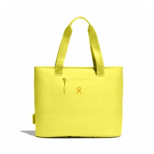 Hydro Flask 20 L Insulated Tote Cactus | 21845FUYG