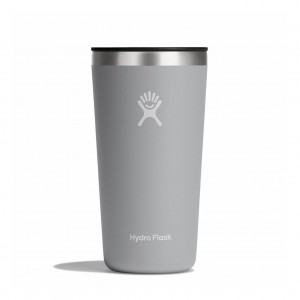 Hydro Flask 20 oz All Around™ Tumbler Birch | 59802CKVM