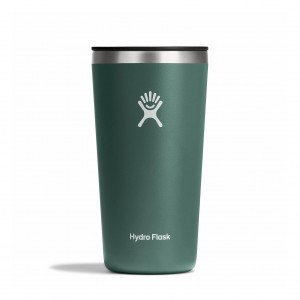 Hydro Flask 20 oz All Around™ Tumbler Fir | 03645OQVR