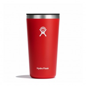 Hydro Flask 20 oz All Around™ Tumbler Goji | 68153EJCA