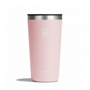 Hydro Flask 20 oz All Around™ Tumbler Trillium | 69072ABYR