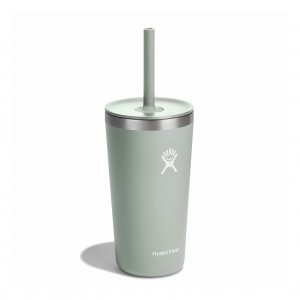 Hydro Flask 20 oz All Around™ Tumbler with Straw Lid Agave | 78516ANGT