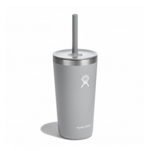 Hydro Flask 20 oz All Around™ Tumbler with Straw Lid Birch | 73291EZUG
