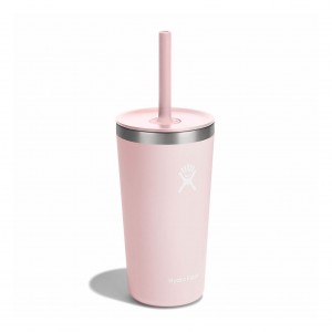 Hydro Flask 20 oz All Around™ Tumbler with Straw Lid Trillium | 03285TMGL