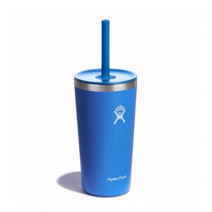 Hydro Flask 20 oz All Around™ Tumbler with Straw Lid Cascade | 25146PELT