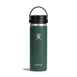 Hydro Flask 20 oz Coffee with Flex Sip™ Lid Fir | 73195GAUX