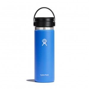 Hydro Flask 20 oz Coffee with Flex Sip™ Lid Cascade | 79085LWIA