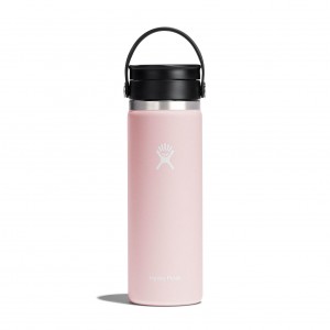 Hydro Flask 20 oz Coffee with Flex Sip™ Lid Trillium | 04352AQPS