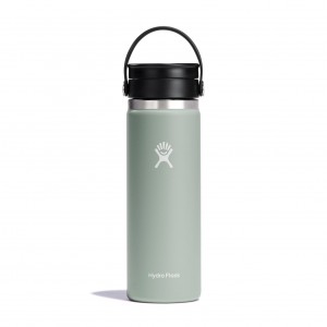Hydro Flask 20 oz Coffee with Flex Sip™ Lid Agave | 37604QHGJ
