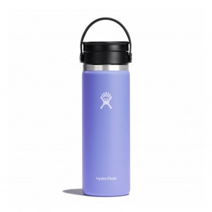 Hydro Flask 20 oz Coffee with Flex Sip™ Lid Lupine | 27086CJPA