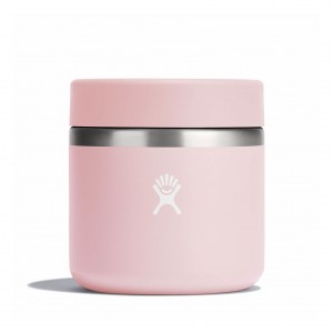 Hydro Flask 20 oz Insulated Food Jar Trillium | 25491BGCS