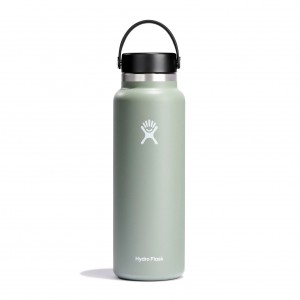 Hydro Flask 20 oz Larghe Mouth Agave | 75206JKTA