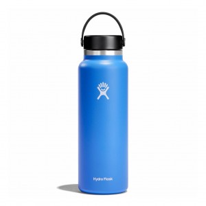 Hydro Flask 20 oz Larghe Mouth Cascade | 71046FYUM