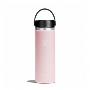Hydro Flask 20 oz Larghe Mouth Trillium | 48035AWHY