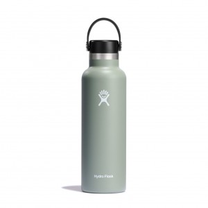 Hydro Flask 21 oz Standard Mouth Agave | 27049FIVX