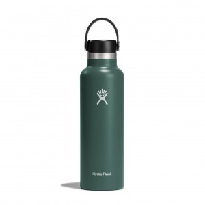 Hydro Flask 21 oz Standard Mouth Fir | 48923PDHC