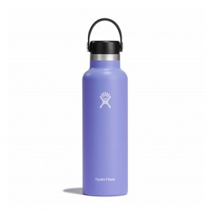 Hydro Flask 21 oz Standard Mouth Lupine | 39462DVJW