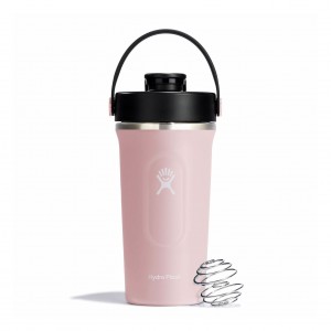 Hydro Flask 24 oz Insulated Shaker Bottle Trillium | 41862AQKL