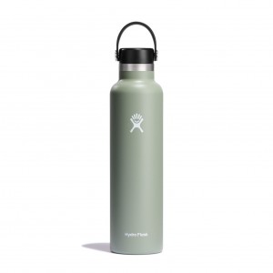 Hydro Flask 24 oz Standard Mouth Agave | 64097HSNW
