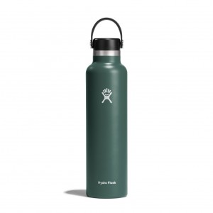 Hydro Flask 24 oz Standard Mouth Fir | 14638FNAJ
