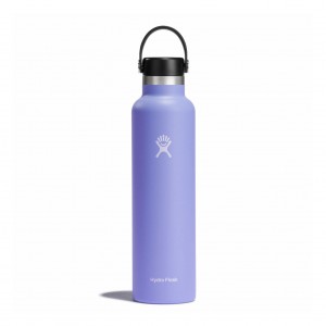 Hydro Flask 24 oz Standard Mouth Lupine | 97218TIVS