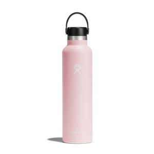Hydro Flask 24 oz Standard Mouth Trillium | 05729YAXZ