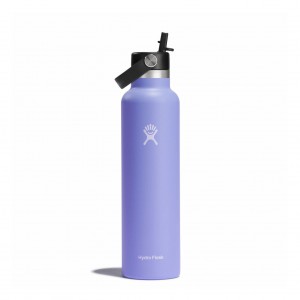 Hydro Flask 24 oz Standard Mouth with Flex Straw Cap Lupine | 95708DREB