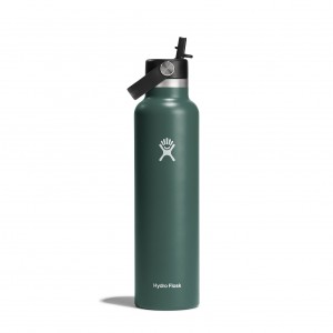 Hydro Flask 24 oz Standard Mouth with Flex Straw Cap Fir | 59082IHLA