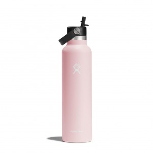 Hydro Flask 24 oz Standard Mouth with Flex Straw Cap Trillium | 05284VONR