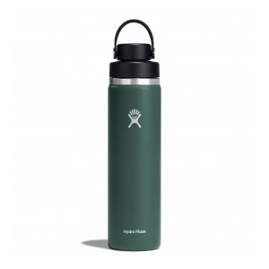 Hydro Flask 24 oz Wide Mouth with Flex Chug Cap Fir | 32178QWLO