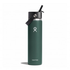 Hydro Flask 24 oz Wide Mouth with Flex Straw Cap Fir | 57160QFVG