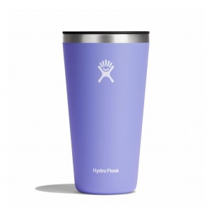 Hydro Flask 28 oz All Around™ Tumbler Lupine | 19538QPUW