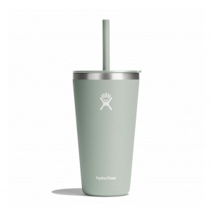 Hydro Flask 28 oz All Around™ Tumbler with Straw Lid Agave | 17043RZKG