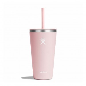 Hydro Flask 28 oz All Around™ Tumbler with Straw Lid Trillium | 19647BJLD