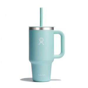 Hydro Flask 32 oz All Around™ Travel Tumbler Dew | 81306AHOE