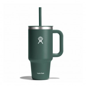 Hydro Flask 32 oz All Around™ Travel Tumbler Fir | 90658CPFB