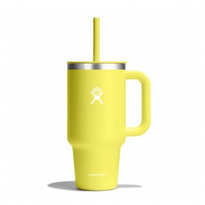 Hydro Flask 32 oz All Around™ Travel Tumbler Cactus | 08691TOYR