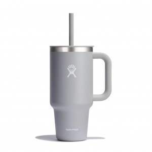 Hydro Flask 32 oz All Around™ Travel Tumbler Birch | 95132LSIU