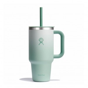 Hydro Flask 32 oz All Around™ Travel Tumbler Matcha Ombre | 04912DCAK