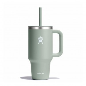 Hydro Flask 32 oz All Around™ Travel Tumbler Agave | 17056BDKO