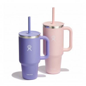 Hydro Flask 32oz/42oz Hydration Handled™ Bundle | 10348FBHA