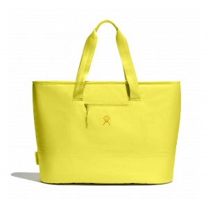 Hydro Flask 35 L Insulated Tote Cactus | 30498QBEP