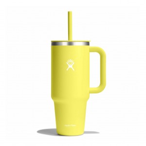 Hydro Flask 40 oz All Around™ Travel Tumbler Cactus | 06749GRAN