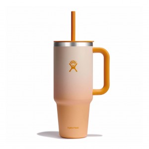 Hydro Flask 40 oz All Around™ Travel Tumbler Ginger Ombre | 43179CHKW
